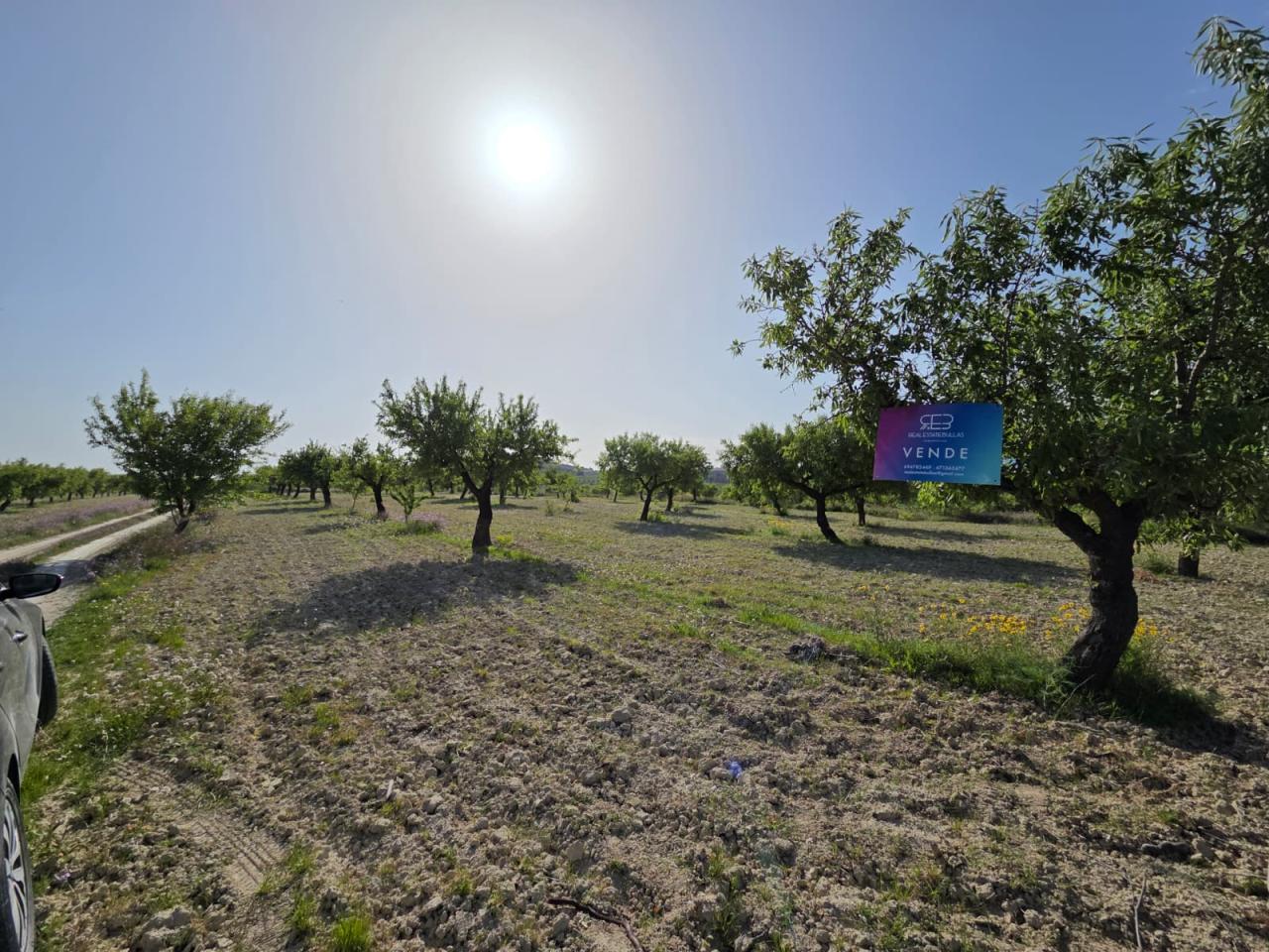  Tierra Poco Recado (Mula).