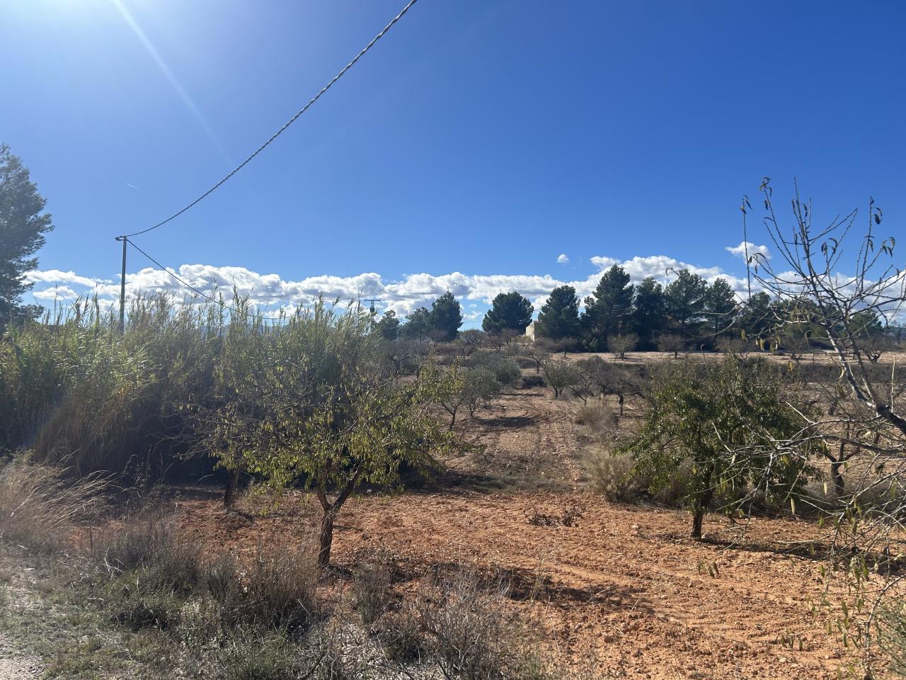  2 parcelas Fuente Carrasca