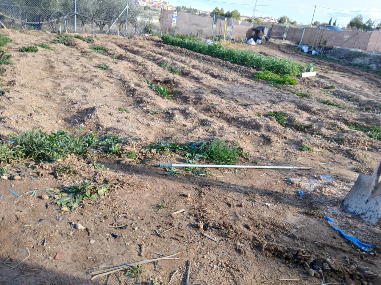  Terreno Autovía Cehegín