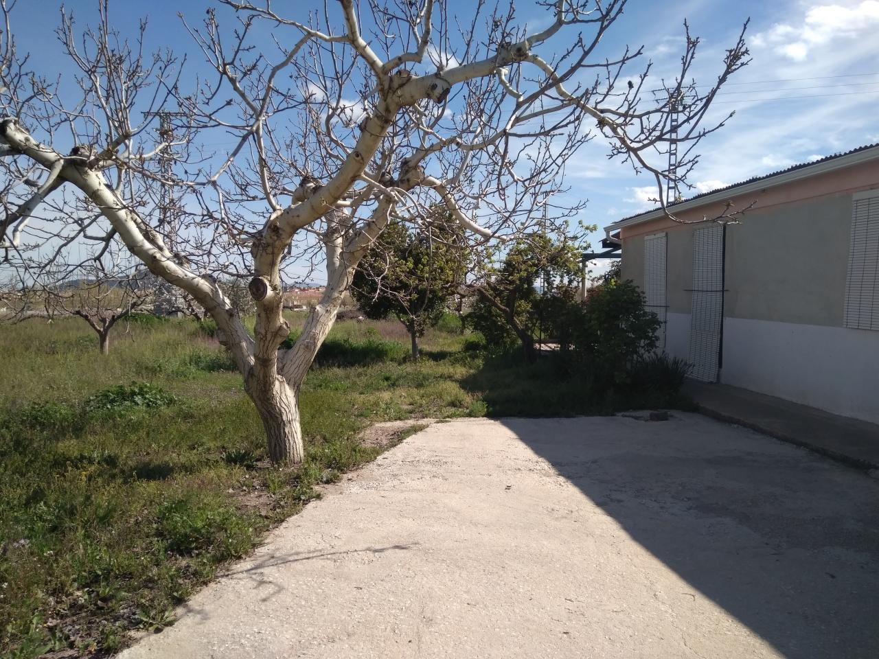  Terreno y casa de campo