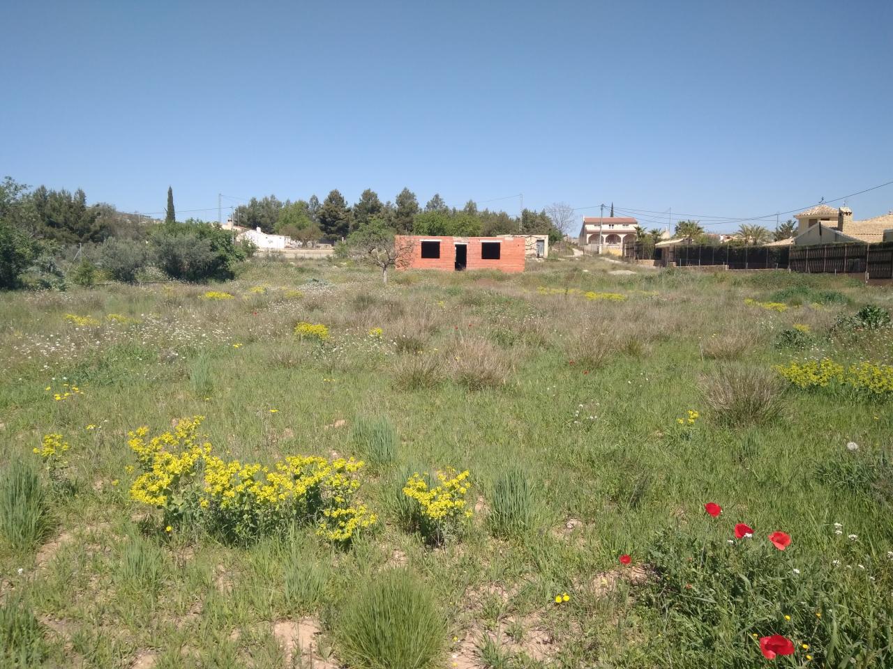  Casas y terreno EL MOLINAR