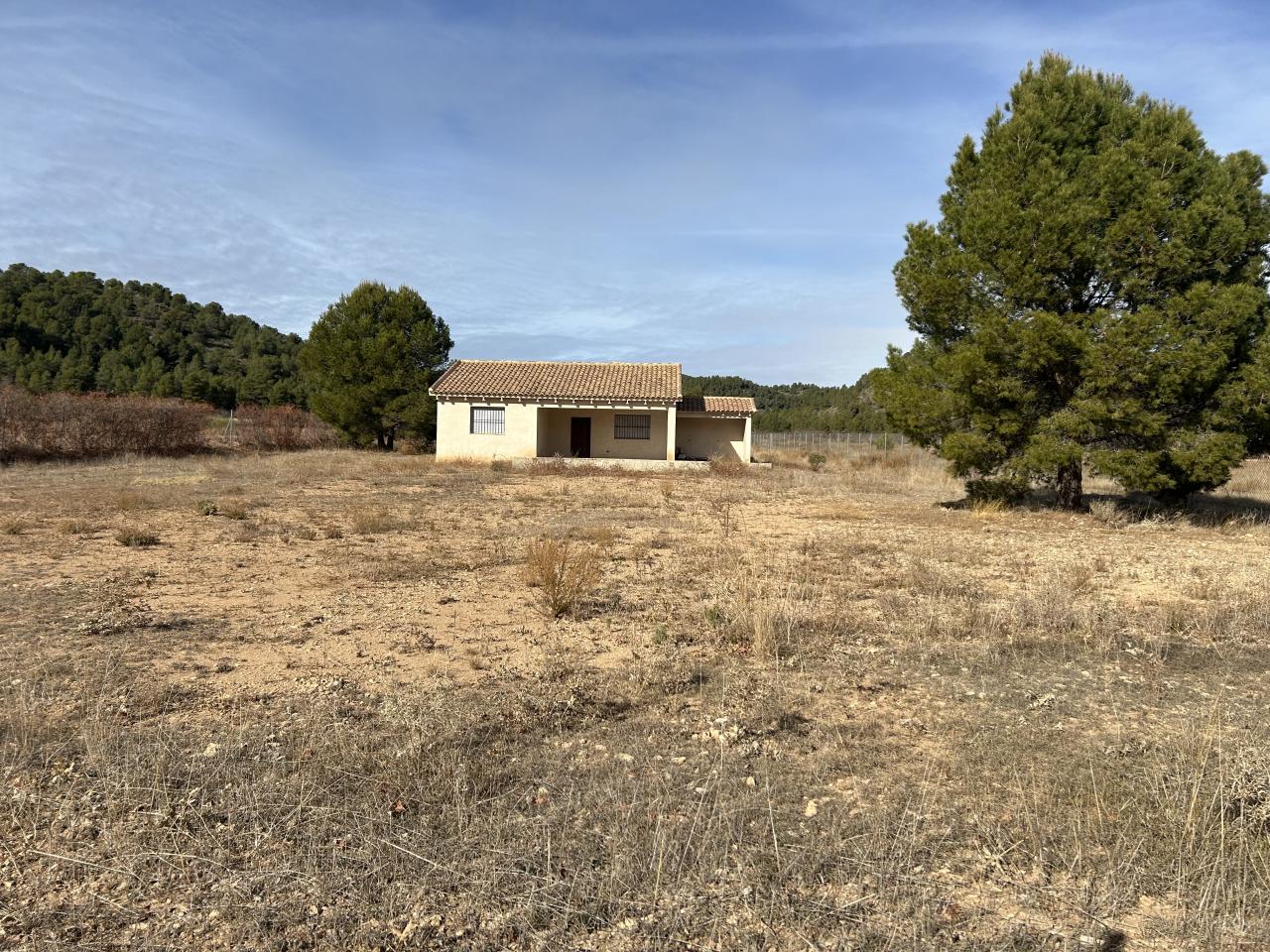  Campo en el PORTUGALÉS