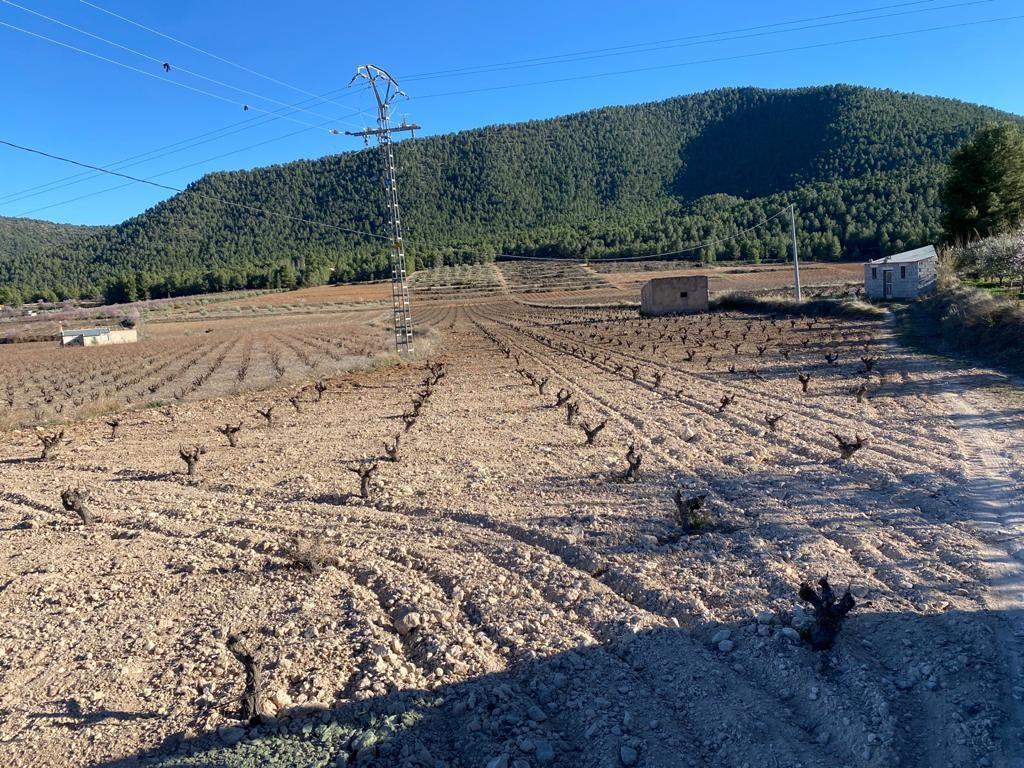  2 parcelas Venta del Pino