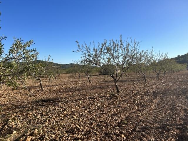  Finca Perihuela