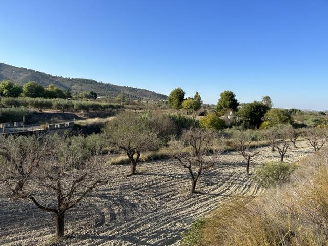  Tierra en el POLEO